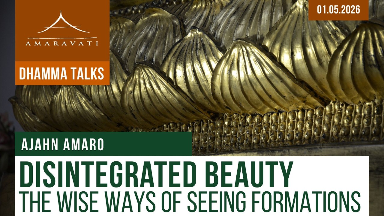 Disintegrated Beauty: The Wise Ways of Seeing Formations | Ajahn Amaro | 01.05.2026 cover art