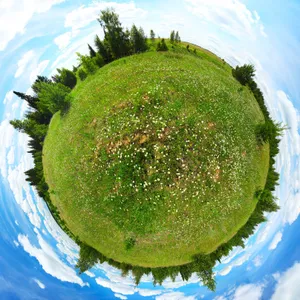 Manoush's Favorites: Circular cover art