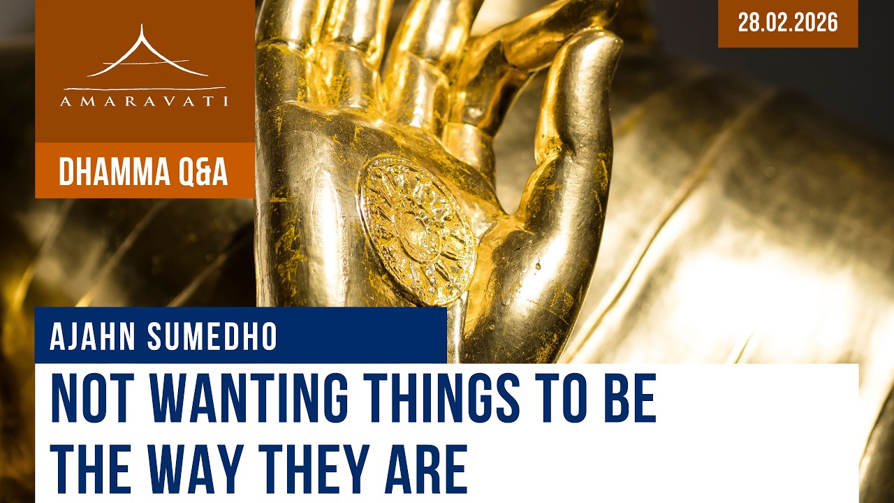 Not Wanting Things to Be the Way They Are | Ajahn Sumedho | 28.02.2026 cover art