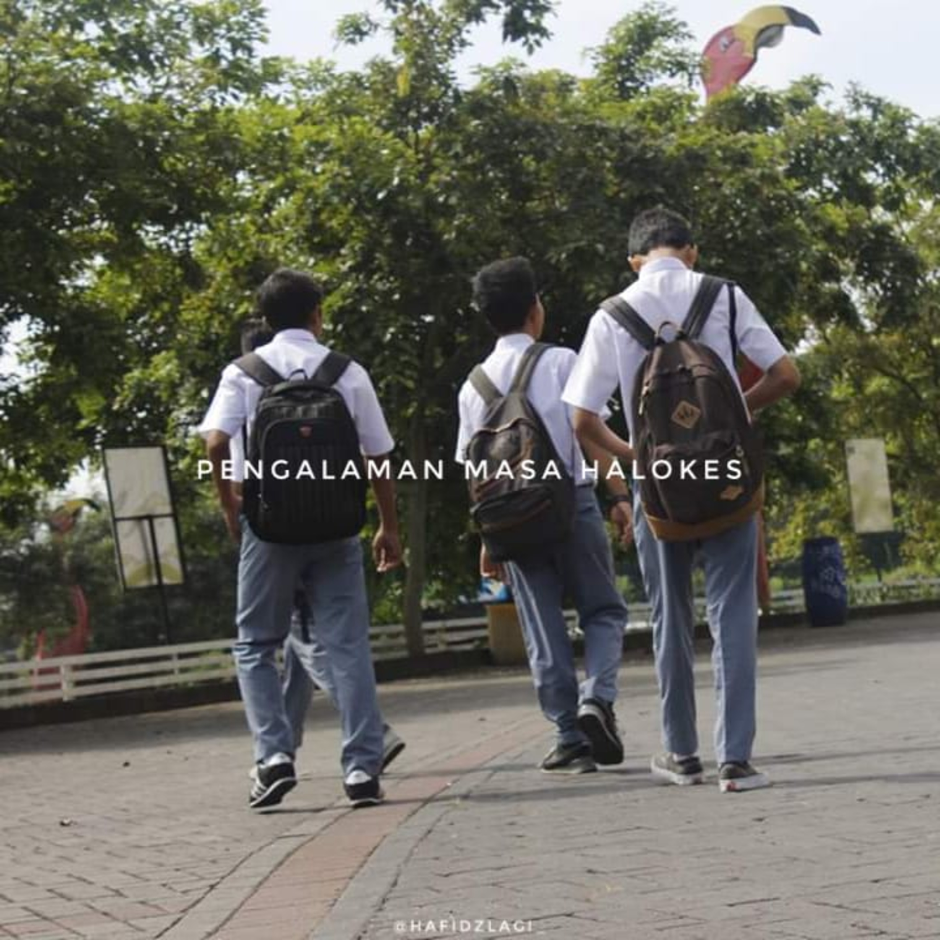 10. pengalaman masa halokes