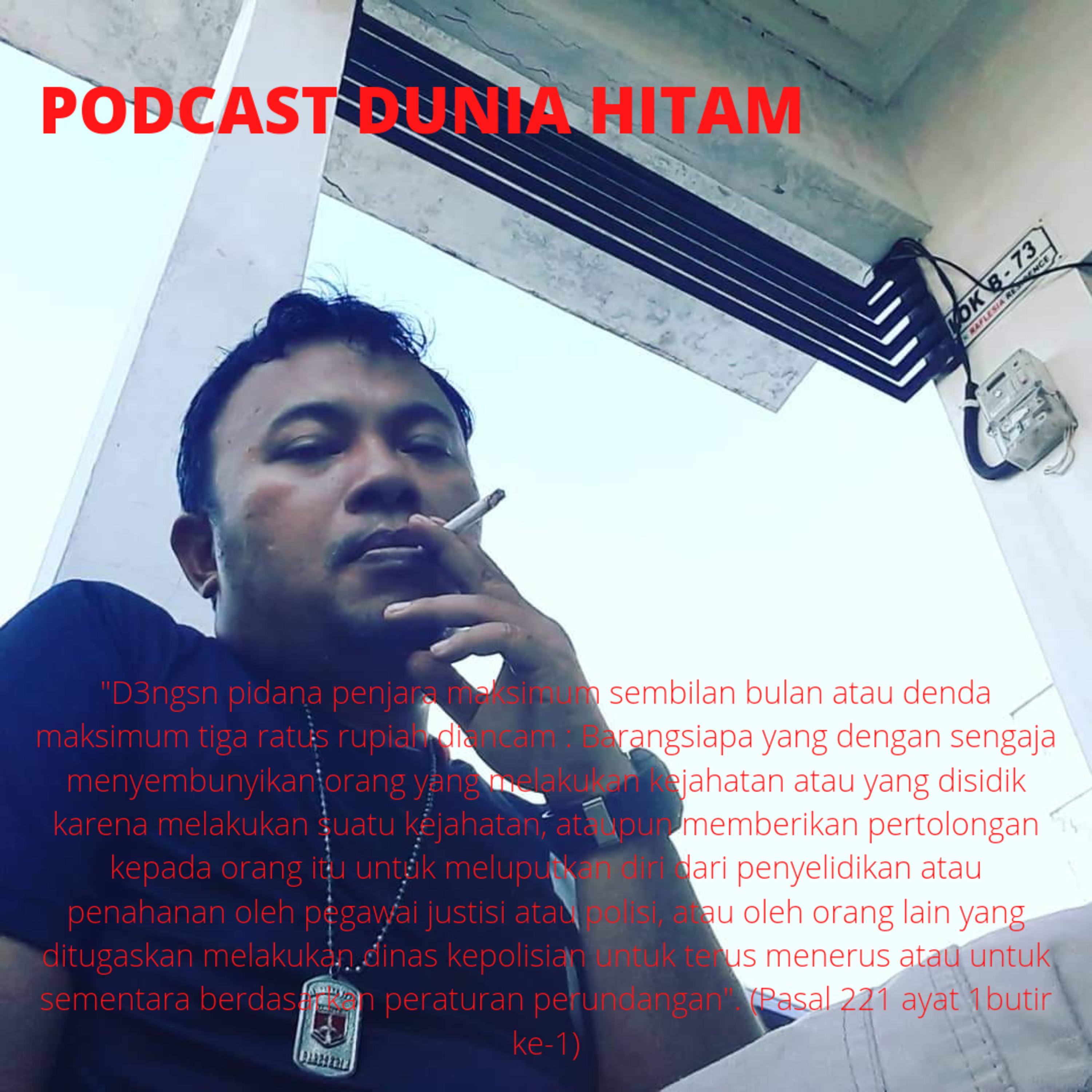 Menyembunyikan atau Memberikan Pertolongan Kepada Pelaku Kejahatan (Pasal 221 KUHP) cover art