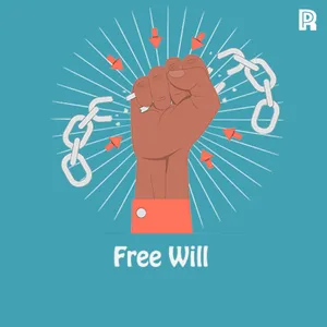 80. Free Will cover art