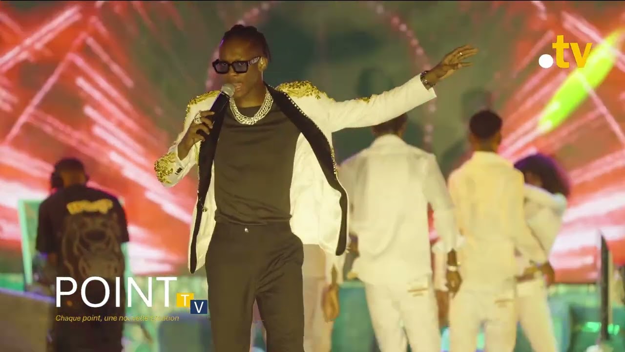 🔥 SEYDOU CHEE en prestation complète FADE TORO🎤AU Concert 💃🏾 Ambiance garantie cover art