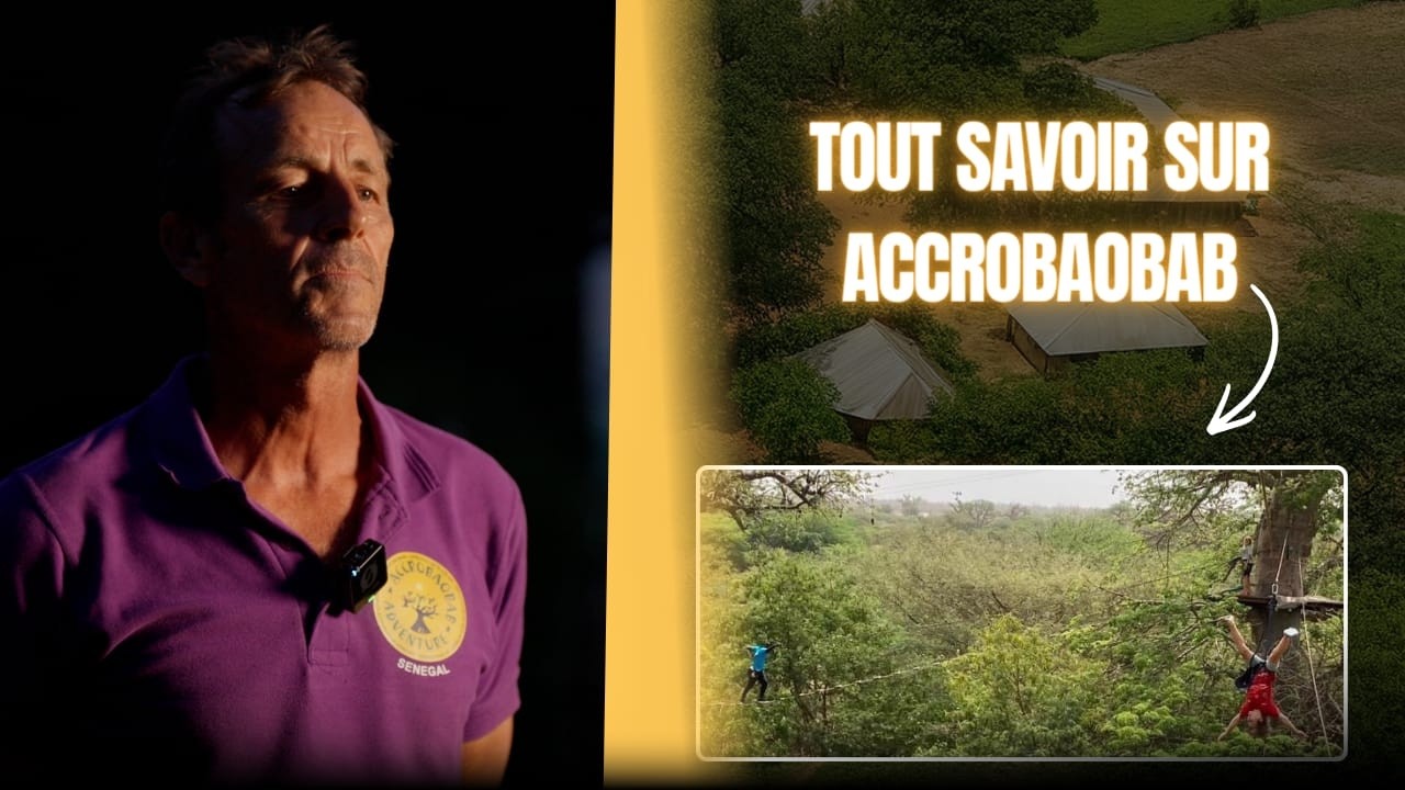 TOUT SAVOIR SUR ACCROBAOBAB | Interview avec Xavier LARCHER cover art
