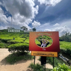 author avatar