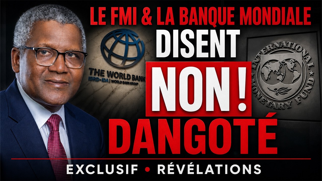Pourquoi le FMI et la Banque Mondiale bloquent le développement de l'Afrique cover art