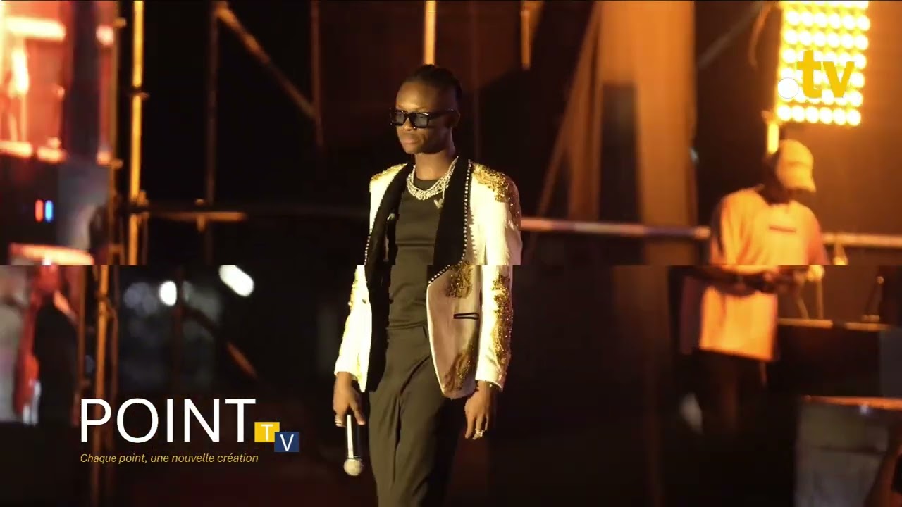 🔥 SEYDOU CHEE en prestation complète KANOU🎤AU Concert 💃🏾 Ambiance garantie cover art