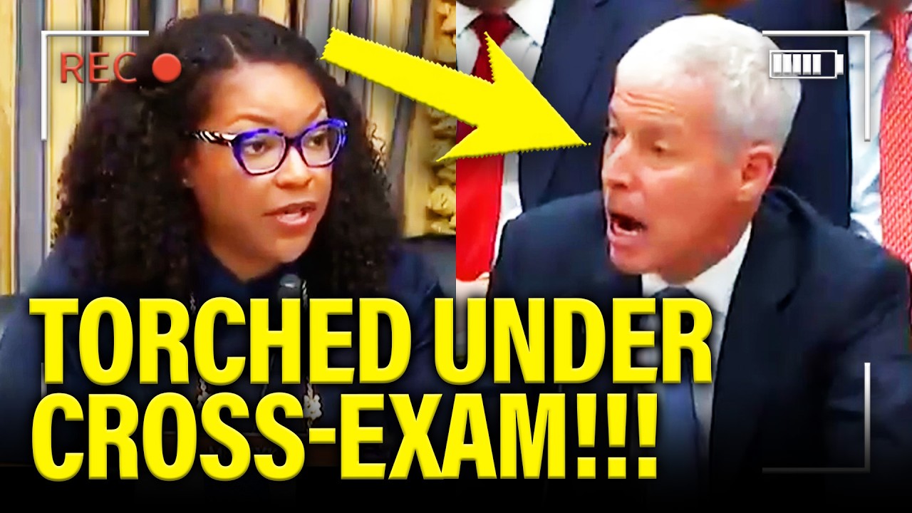 Trump Witness TORCHED under CROSS-EXAM at Hearing cover art