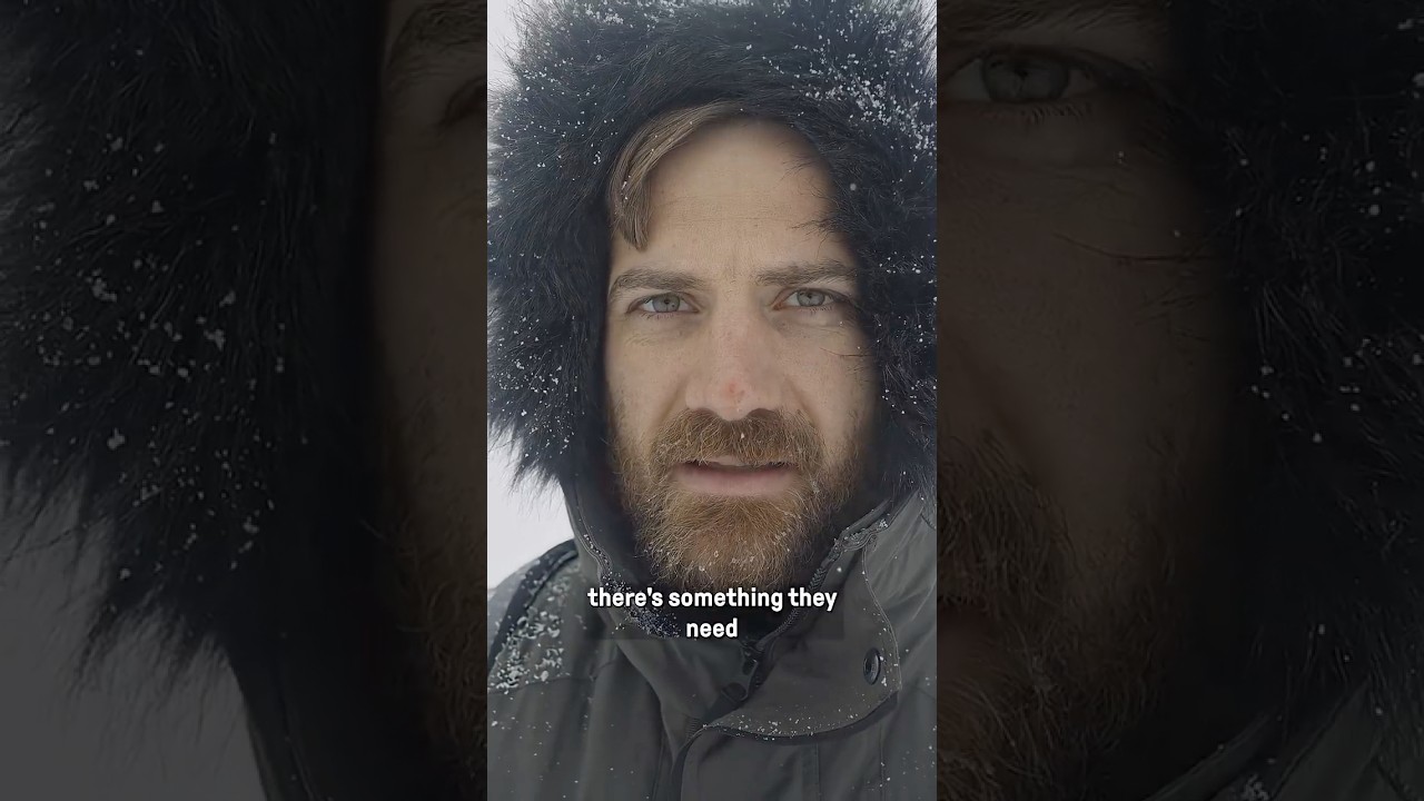 Why everyone wants Greenland cover art
