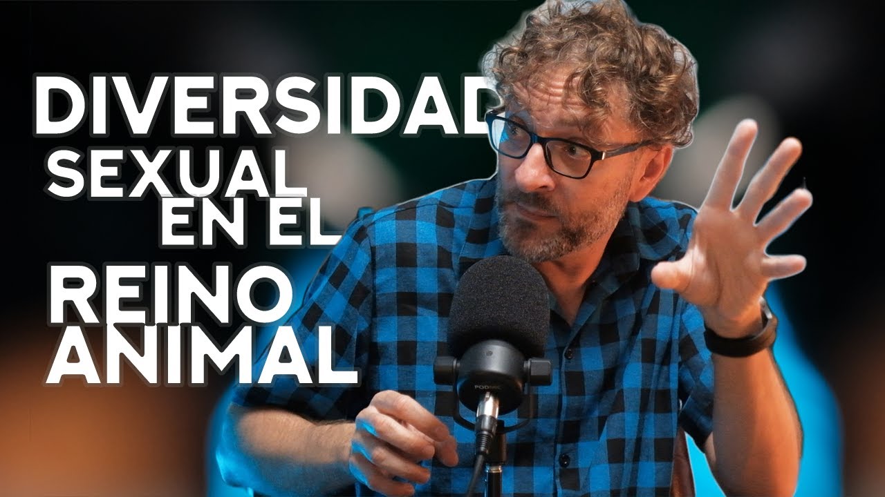 La HOMOSEXUALIDAD y la BISEXUALIDAD en el MUNDO ANIMAL explicado por un EXPERTO en CONDUCTA ANIMAL cover art