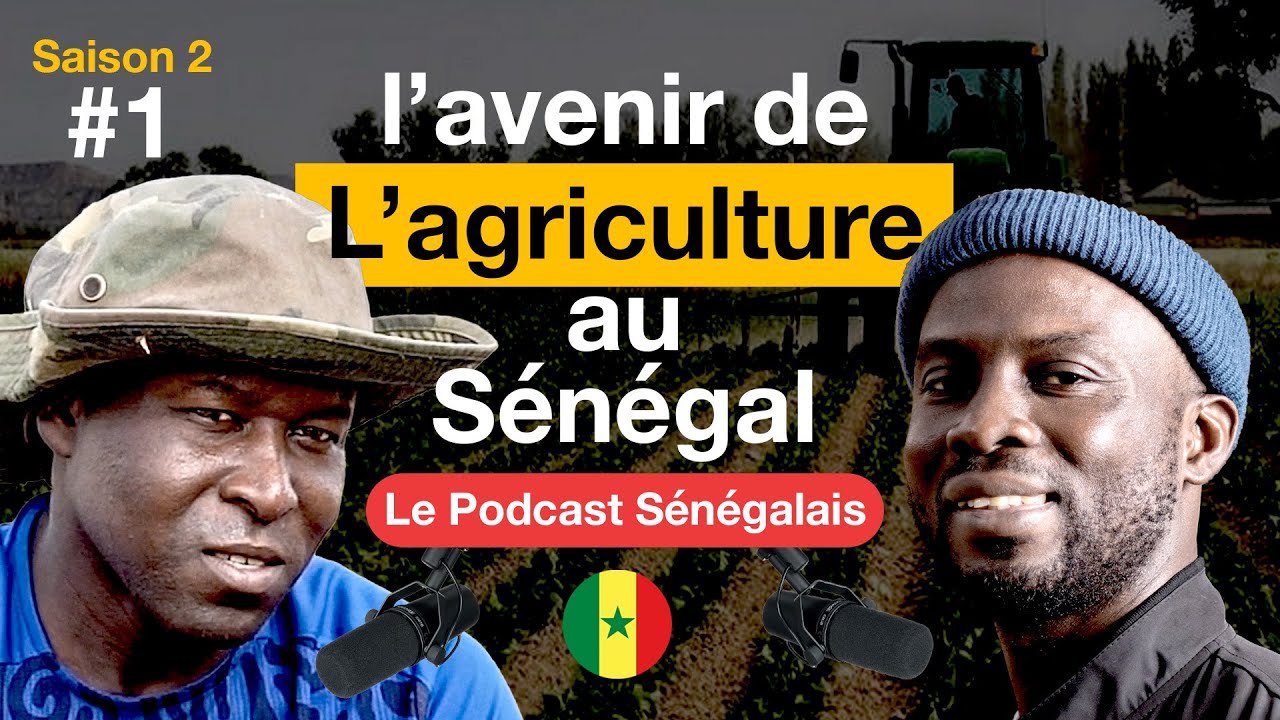 #1Jaar Jaru Bertin Agriculteur,  Comment mettre en place une ferme agricole rentable au Sénégal 🇸🇳? cover art