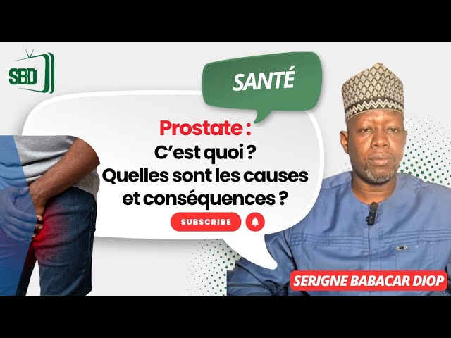 La Maladie de la Prostate : Causes, Conséquences et Traitements expliqués par Serigne Babacar Diop cover art