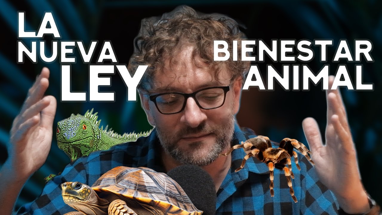 VETERINARIO ETÓLOGO habla sobre la NUEVA LEY DE BIENESTAR ANIMAL cover art
