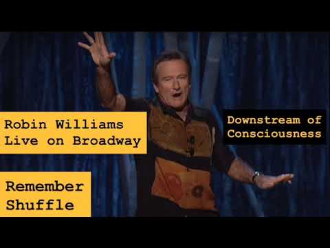 Robin Williams Live on Broadway: E82 Downstream of Consciousness cover art