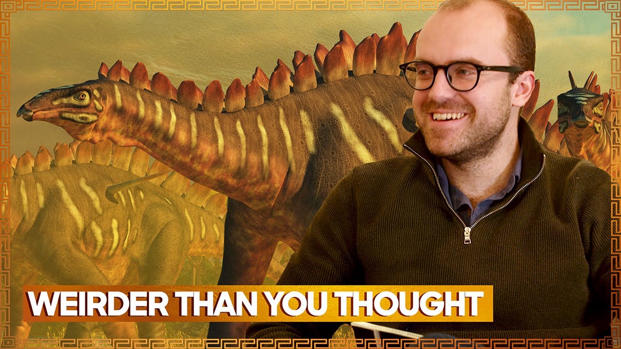 Inside The Bizarre Biology Of The Stegosaurs cover art