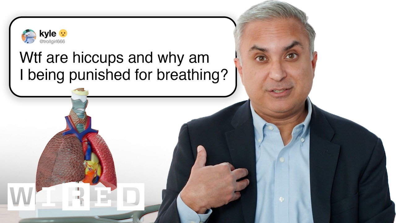 Doctor Answers Lung Questions | Tech Support | WIRED cover art