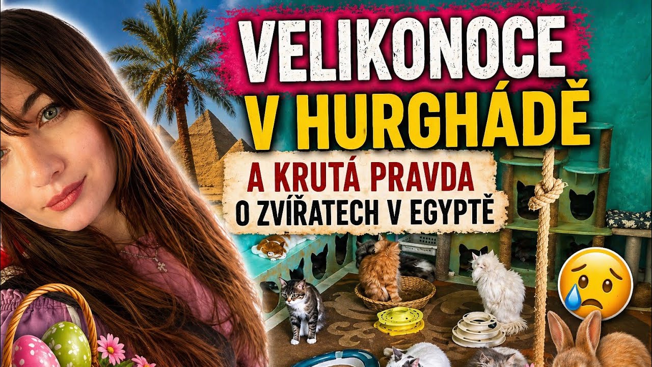 Velikonoce v Hurghádě a pravda o zvířatech v Egyptě 💔 cover art