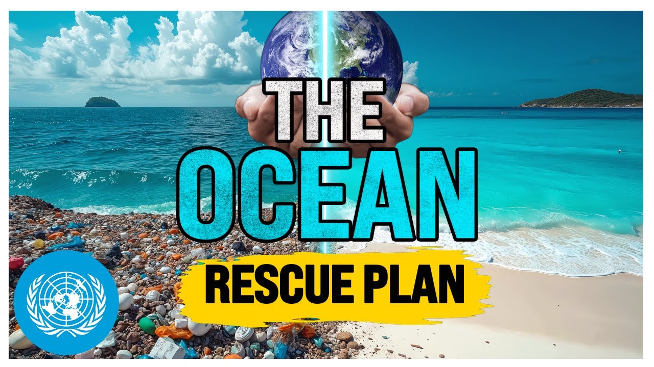 Fabien Cousteau explains how to save the ocean | United Nations