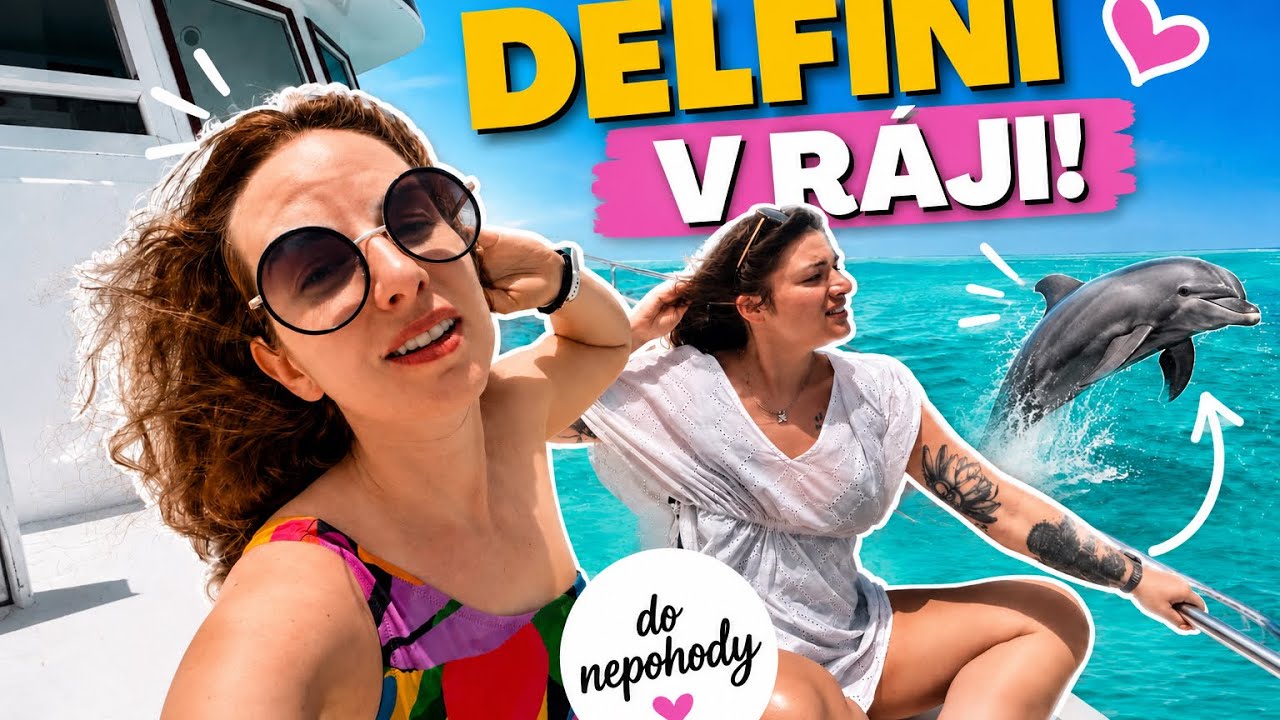 ŠNORCHLOVÁNÍ S DELFÍNY 🐬🌊 | Egypt vlog cover art