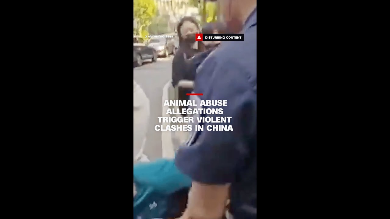 Animal abuse allegations trigger violent clashes in China cover art