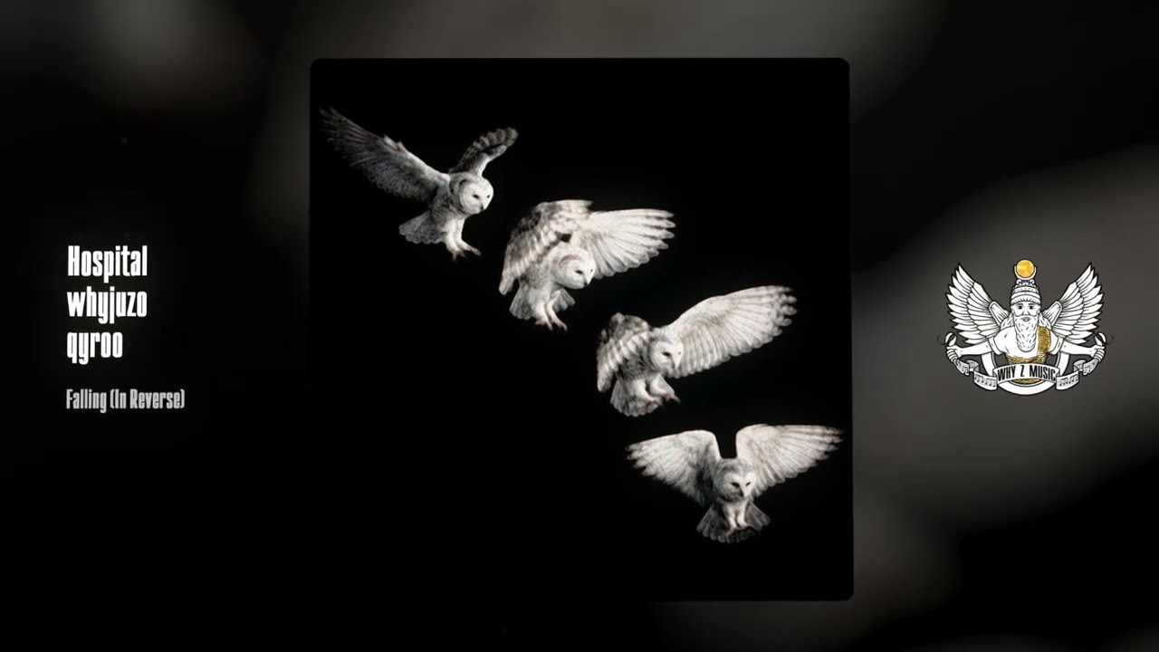 Hospital, whyjuzo, qyroo - Falling (In Reverse) cover art
