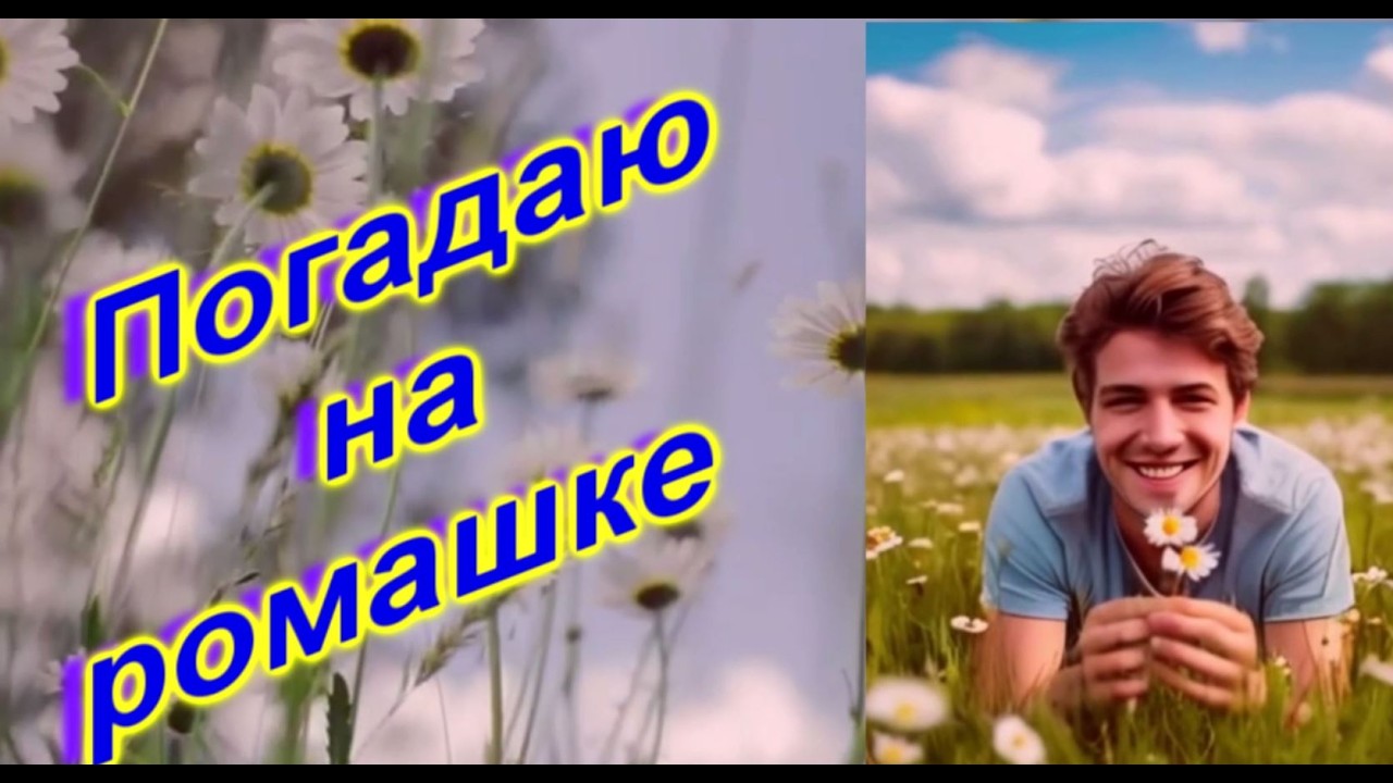 DiMarush Погадаю на ромашке 🌼 💕 cover art