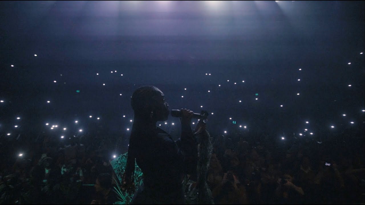 Alligator Bites Never Heal - Tour Mini Doc cover art