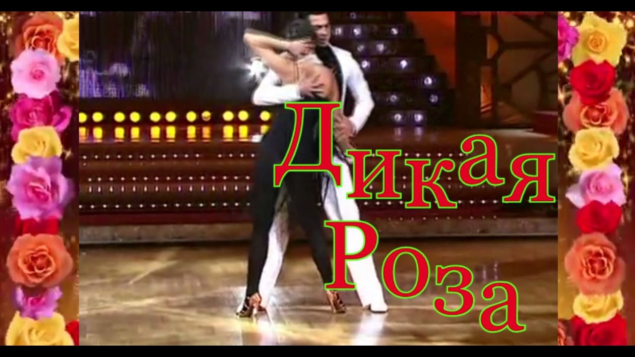 DiMarush Дикая Роза 🌺 ♠ ♥ 🎼 💃