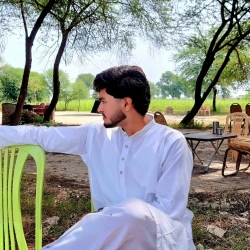 author avatar