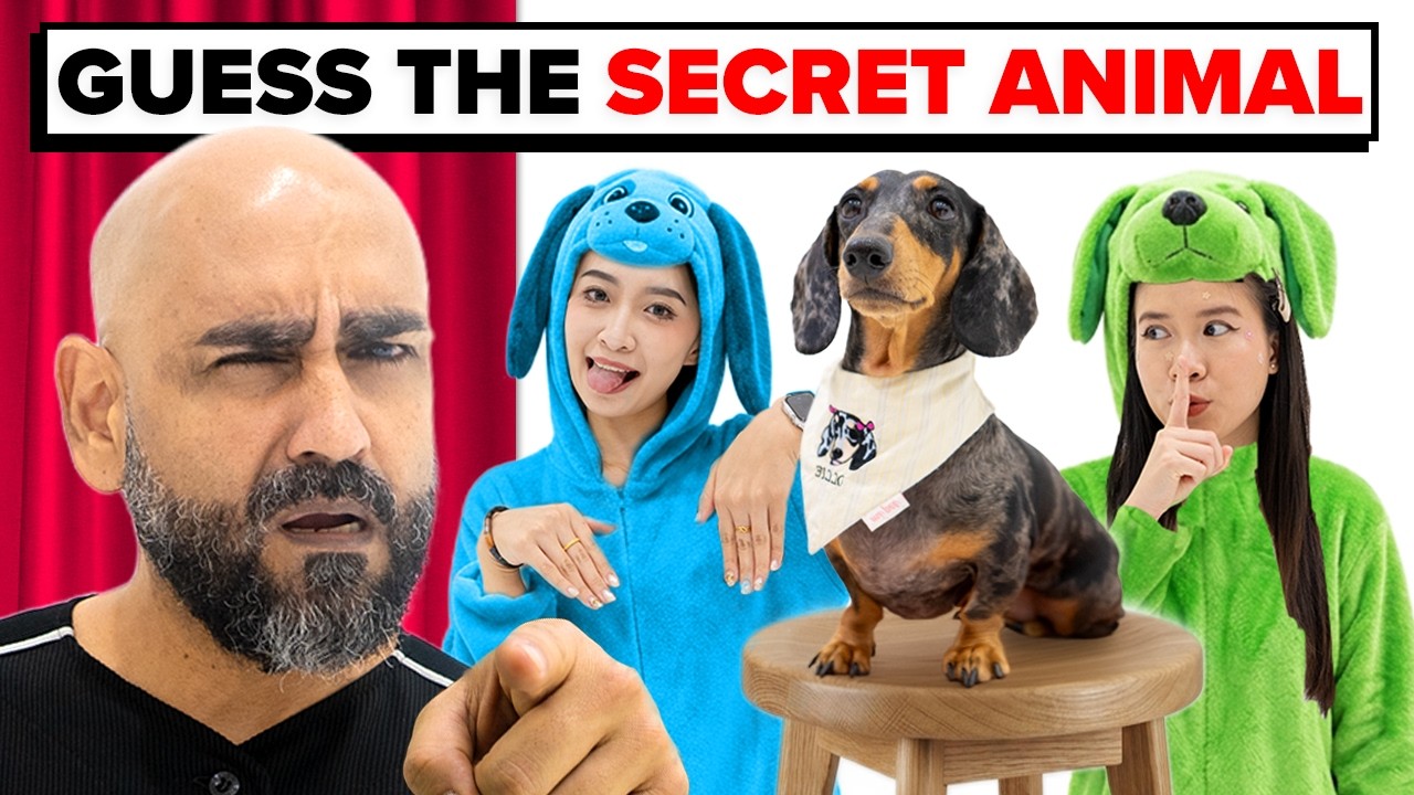 Find the Secret Animal cover art