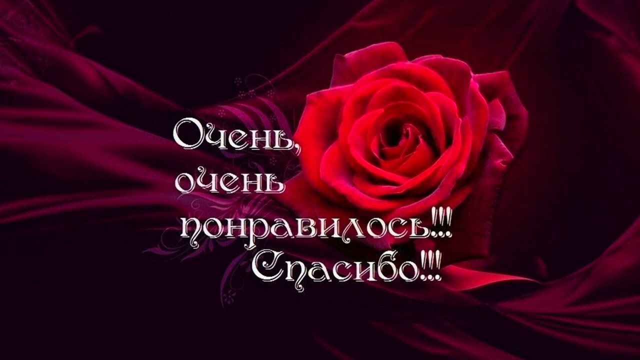 Скриптонит, w140, кухня - чтобы тронуло [Audio] cover art