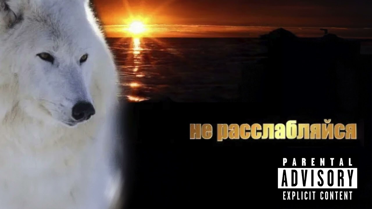 Скриптонит - не расслабляйся [аудио 2024] cover art
