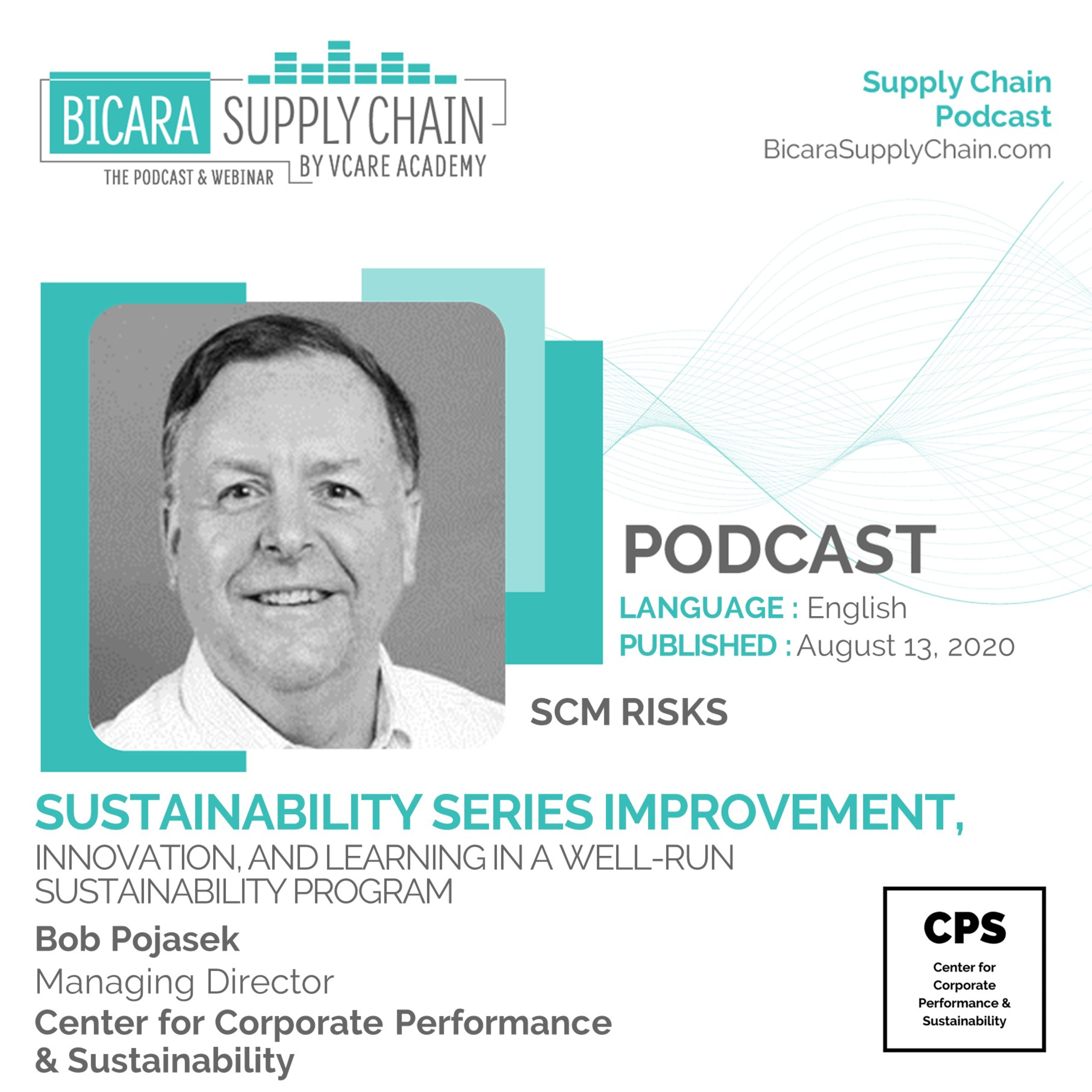 95. Sustainability series - Improvement, innovation, and learning in a well-run sustainability program cover art