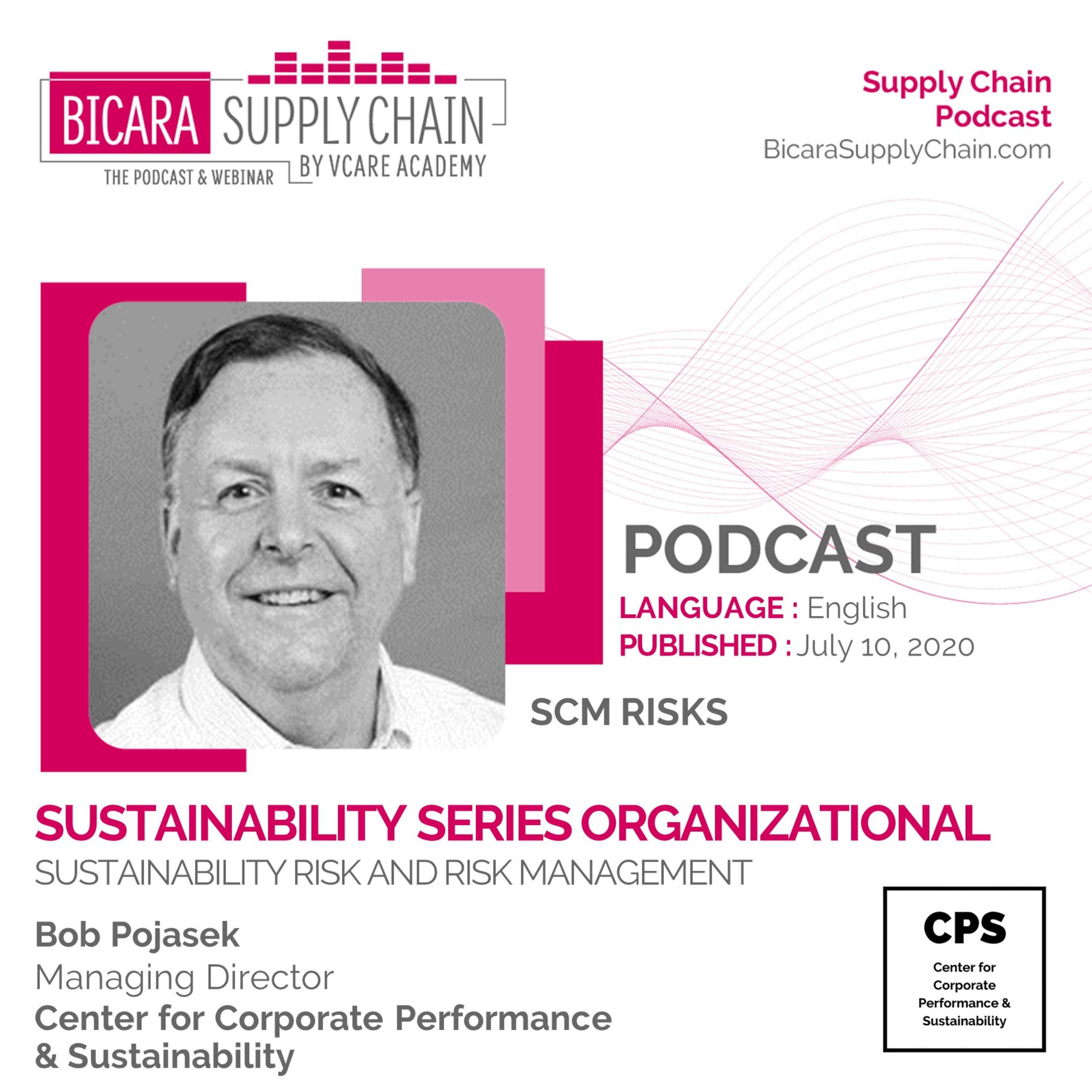 87. Sustainability series - Organizational sustainability : Risk & risk management cover art