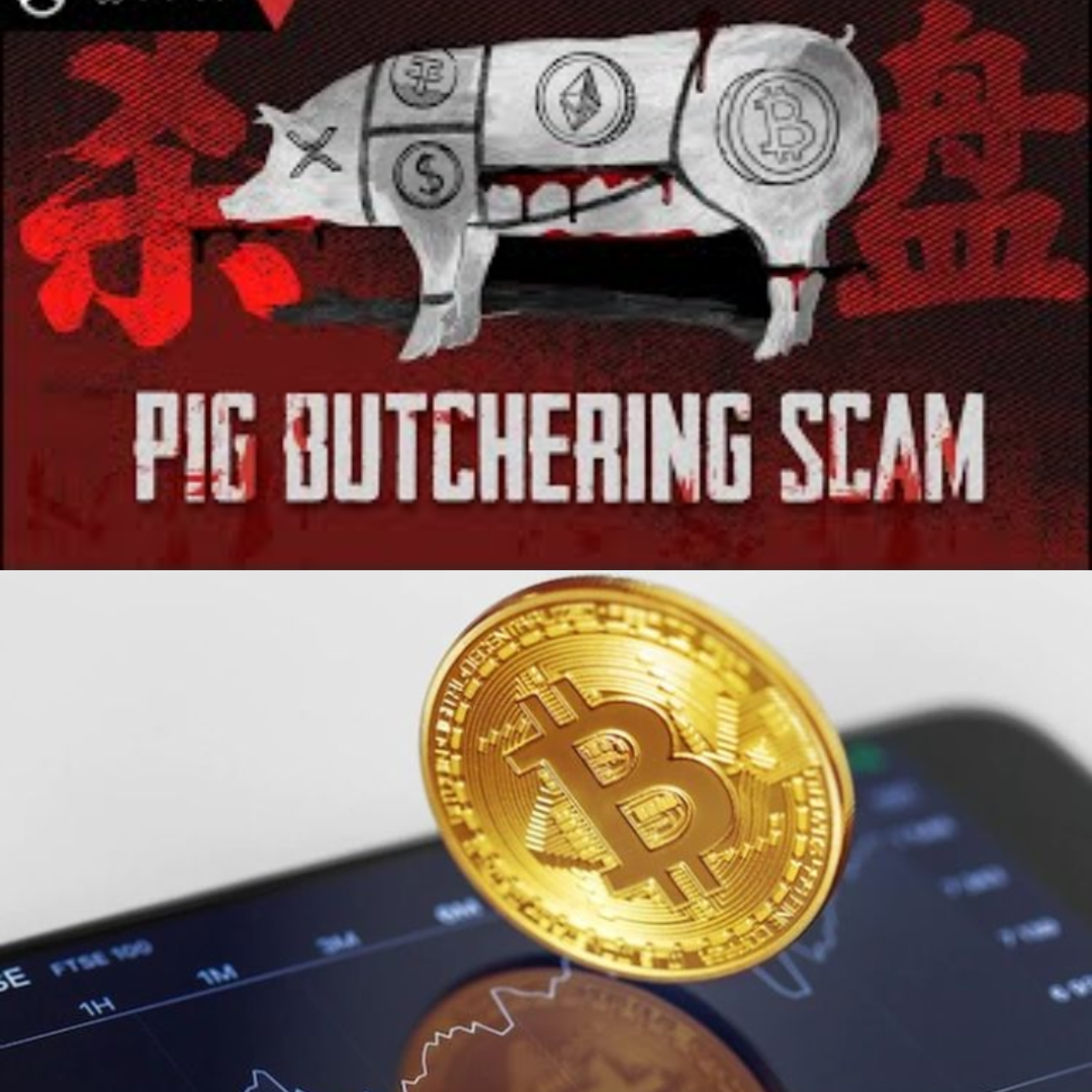 Pig Butchering - Modus Penipuan Cryptocurrency cover art