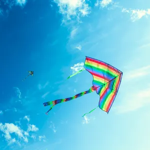 Pure Joy cover art
