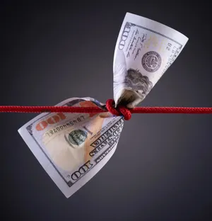 Here's Why America's Debt is a Trade War Victim cover art