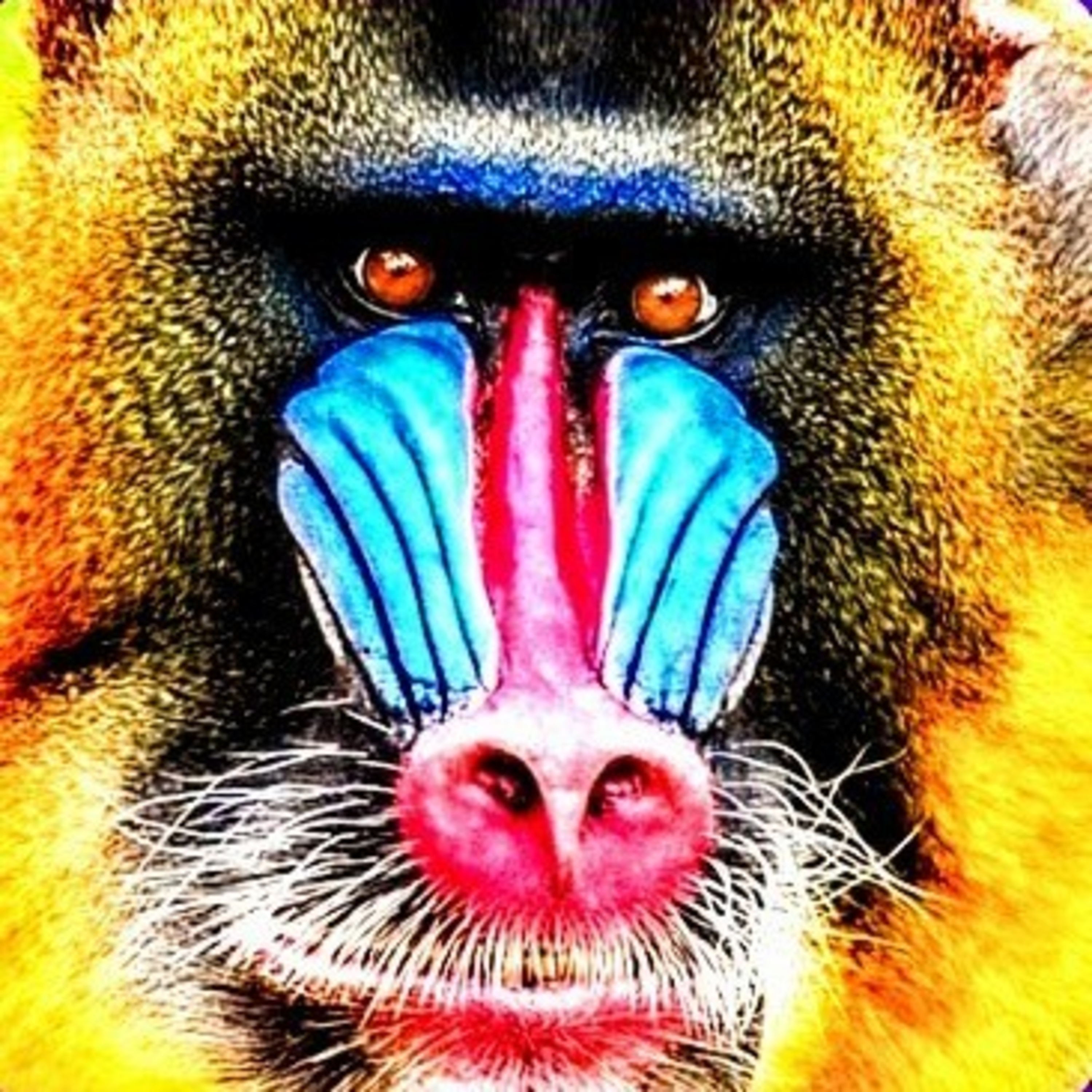 PRECIOUS PRIDE cover art