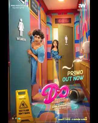 Double Occupancy (2026) poster