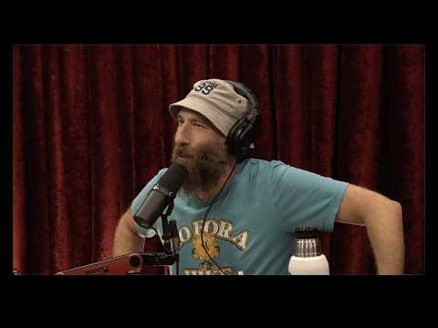 Joe Rogan Experience #2492 - Ari Shaffir