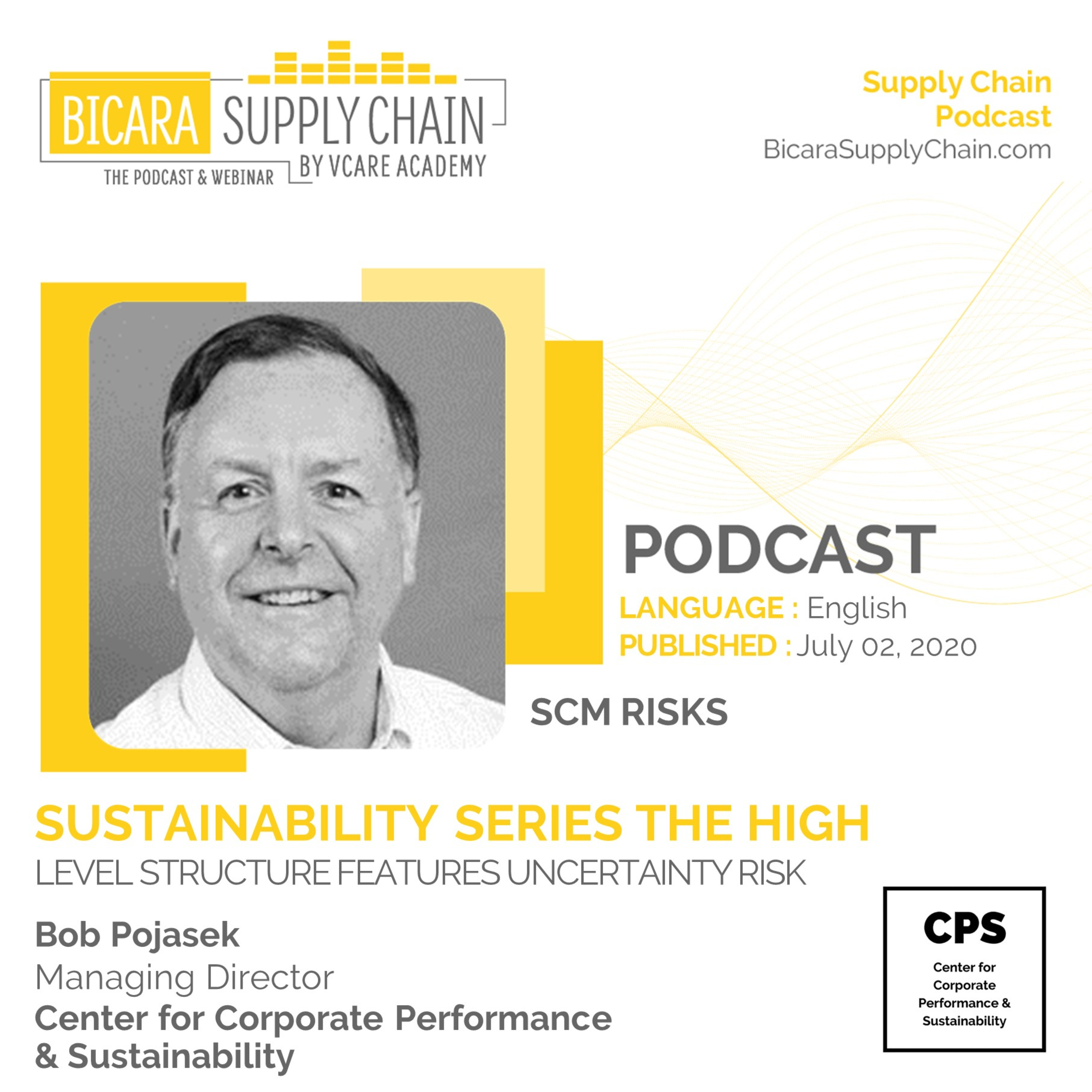 85. Sustainability series - The high level structure features uncertainty risk cover art