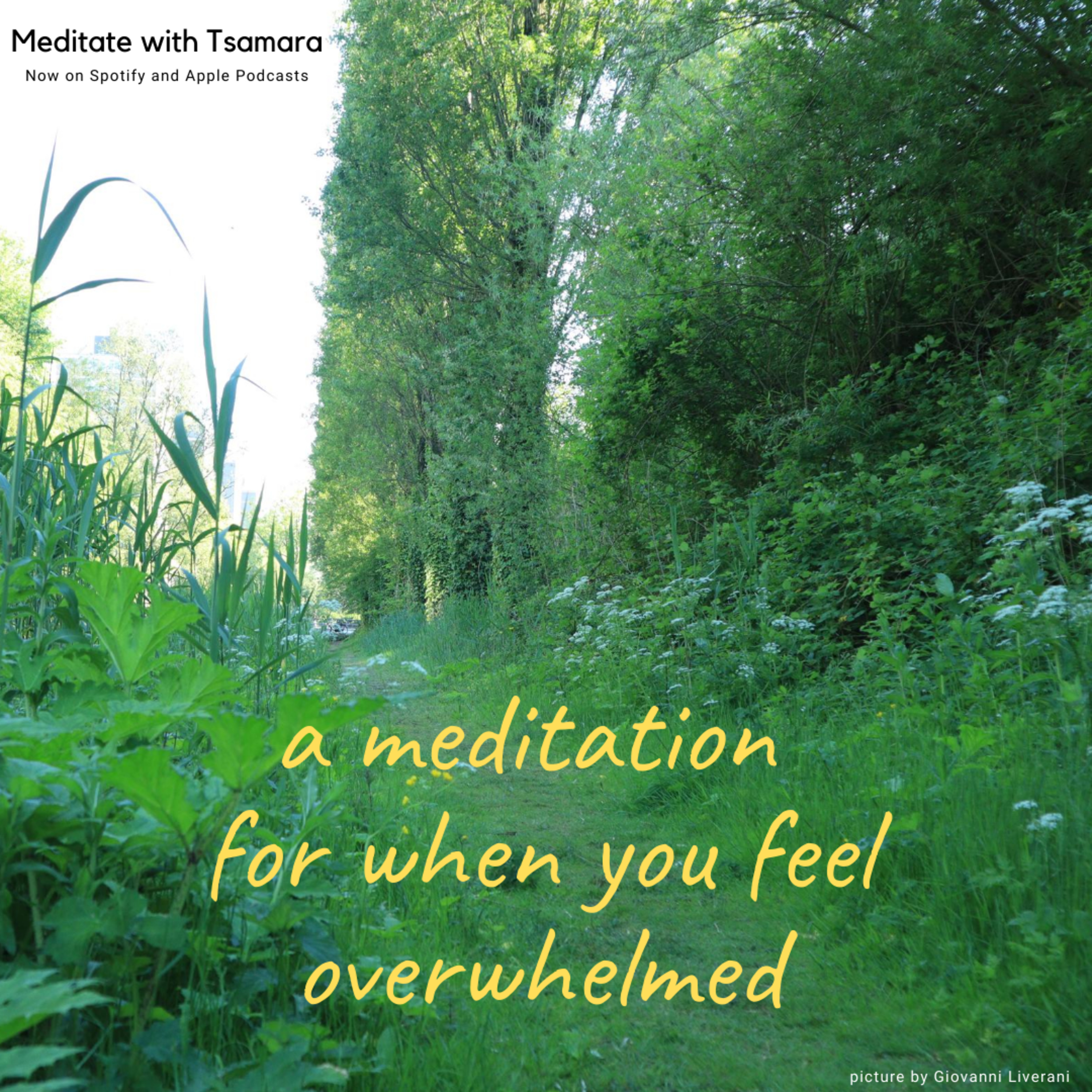 #8 - Meditation: For when you feel overwhelmed cover art