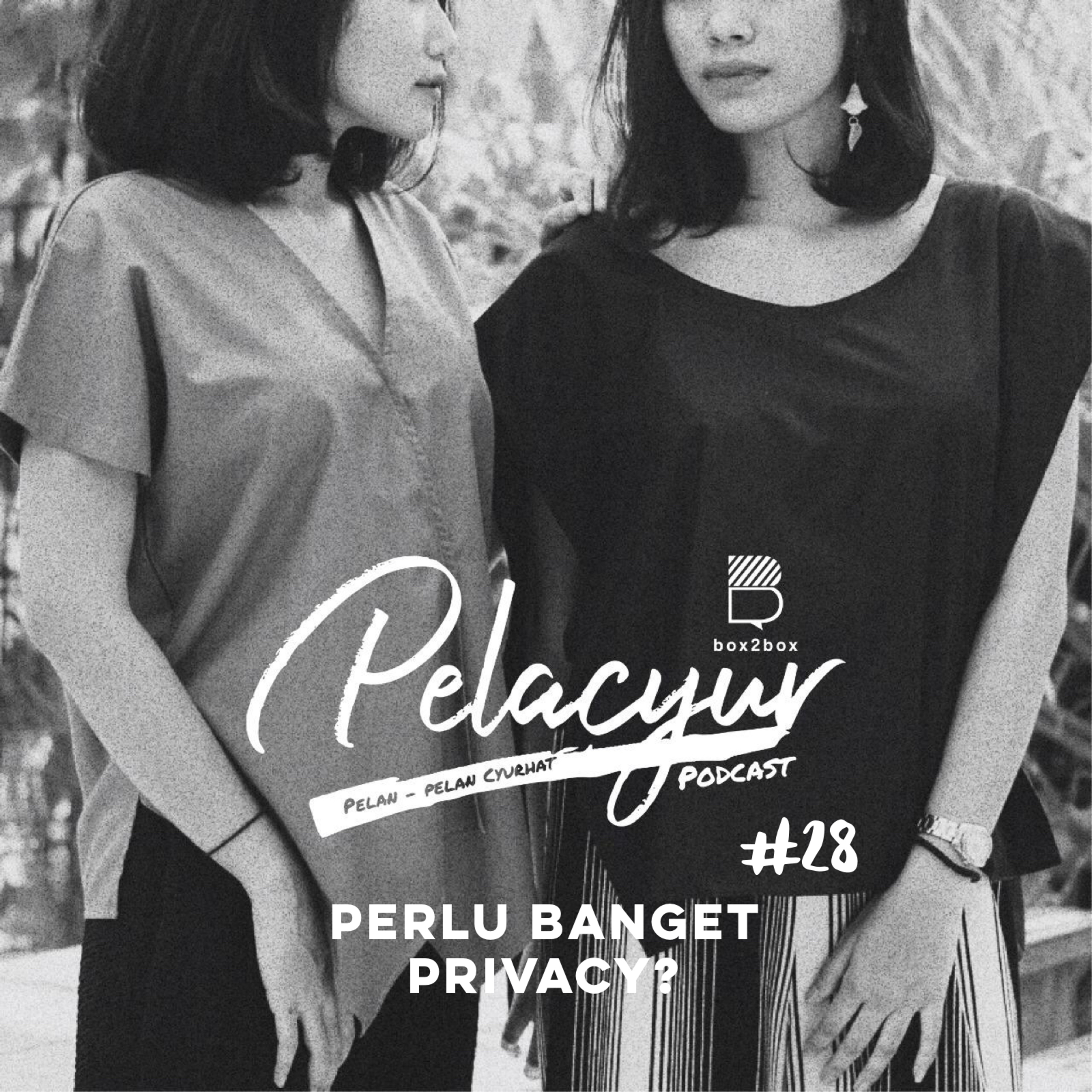 28. Perlu Banget Privacy? cover art