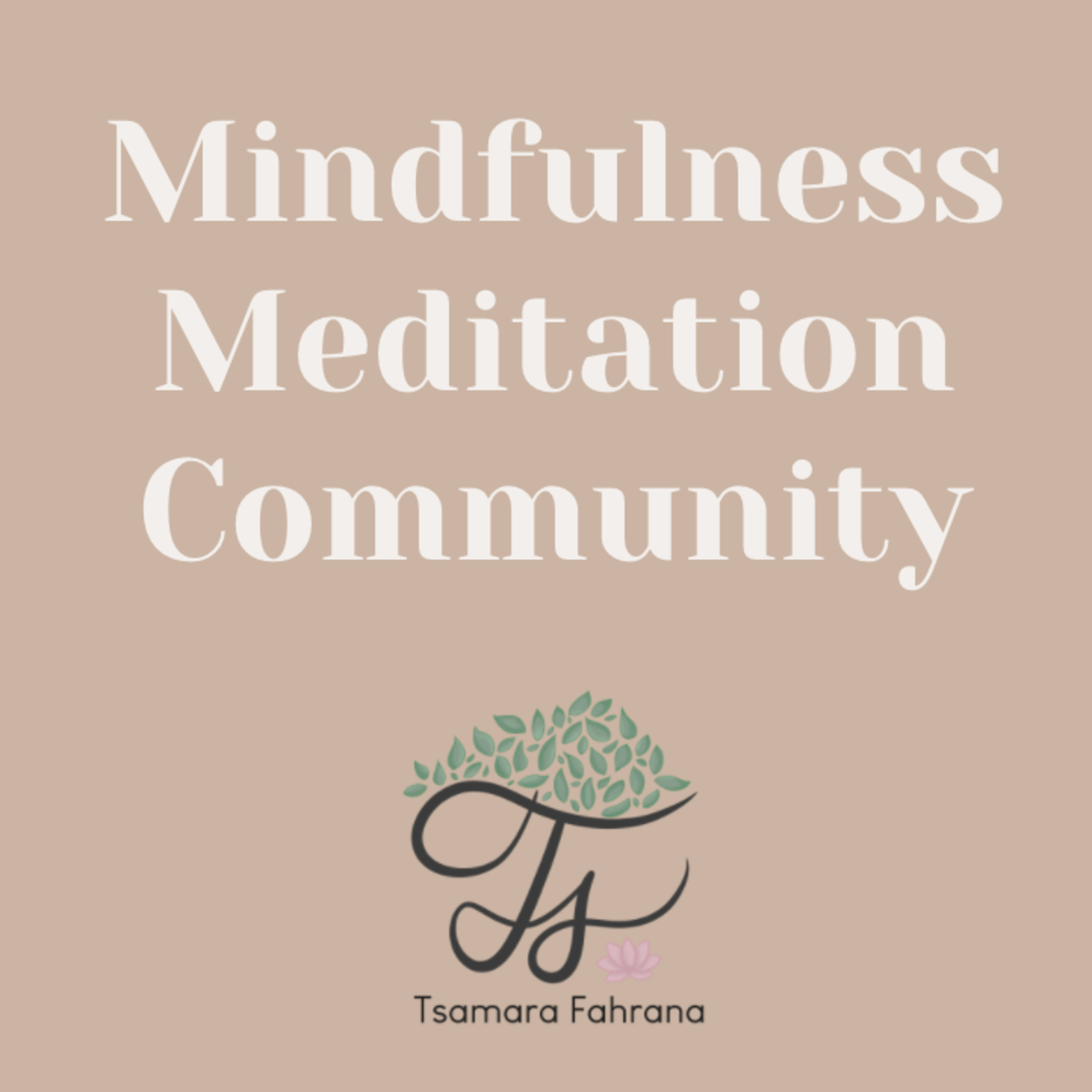 #75 - Meditation: Mindfulness Meditation Community cover art