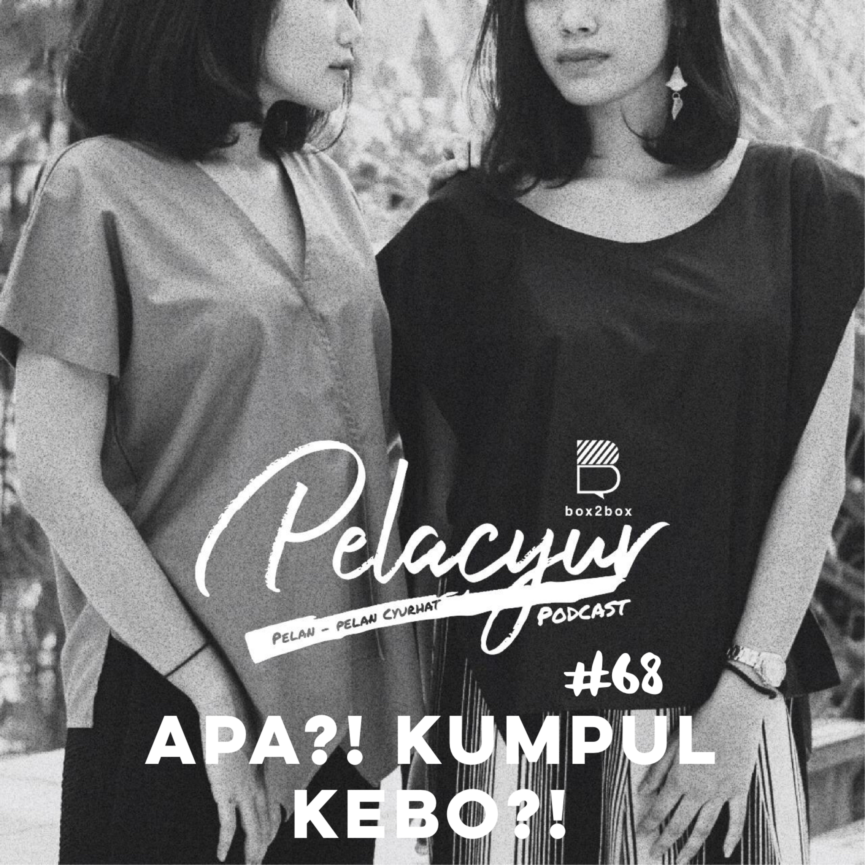 68. APA? KUMPUL KEBO?! cover art