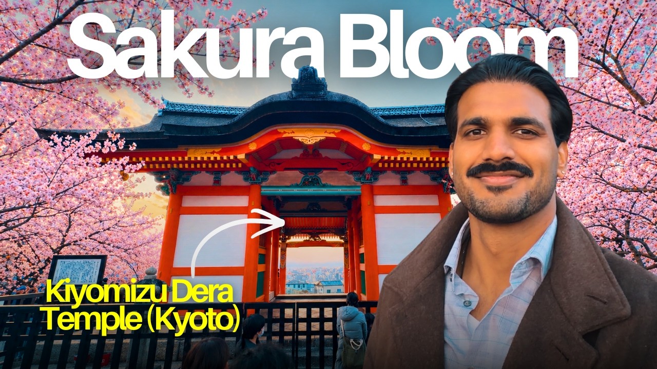 Exploring Kyoto's Cherry Blossom Paradise! π―π΅ cover art