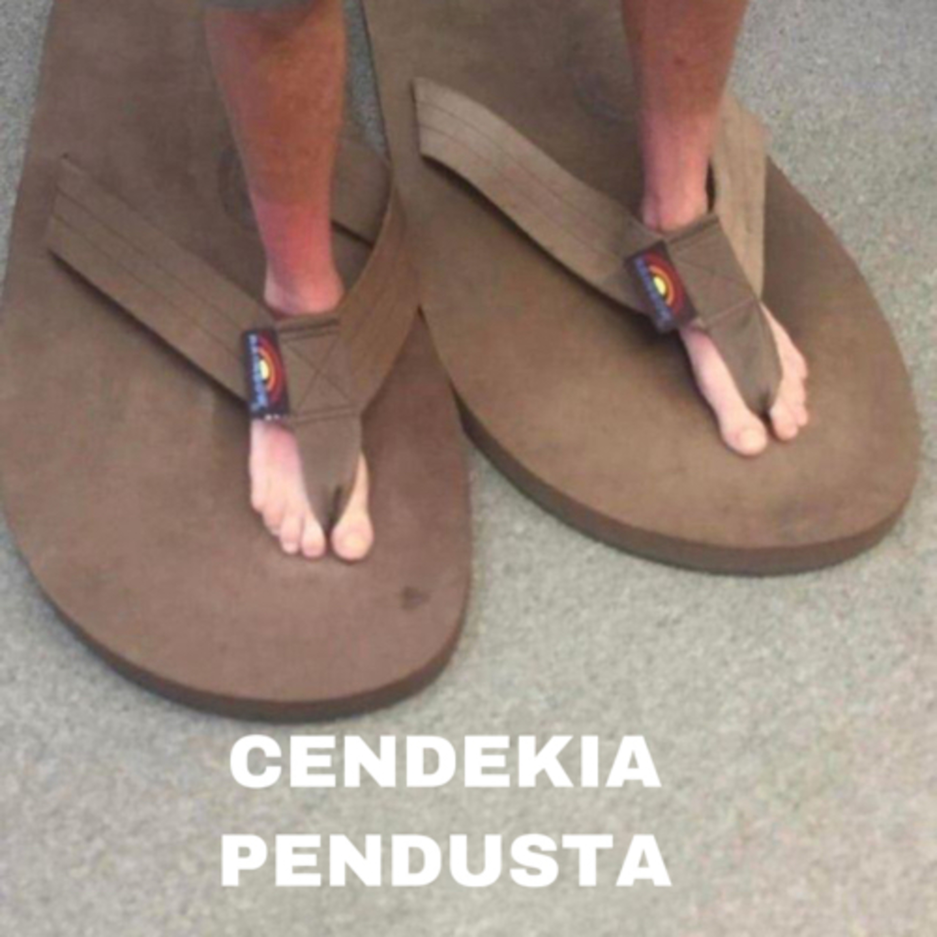 CENDEKIA PENDUSTA