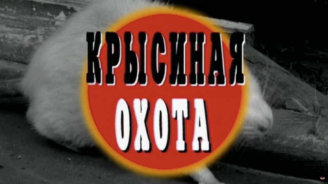 Крысиная охота