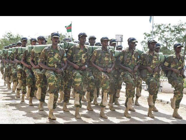 Somalia : the failure to build a national army and border tensions with Ethiopia/Kenya cover art