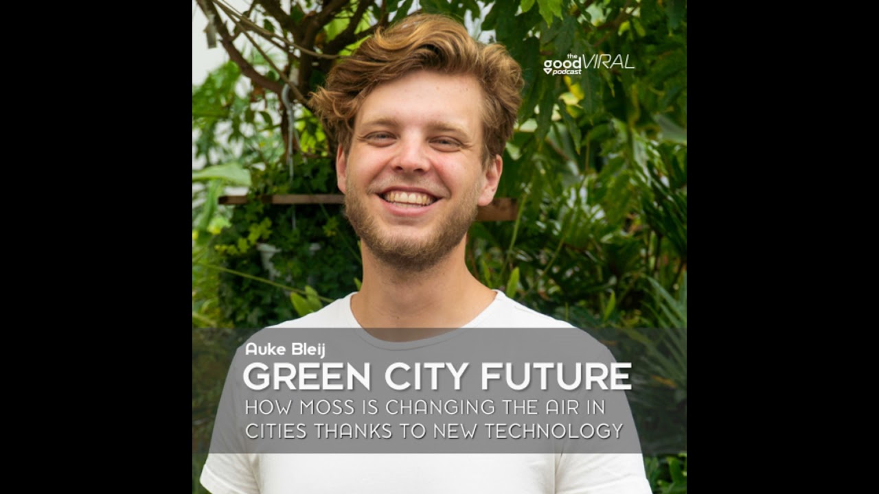 Cities Can Have the Cleanest Air with this Little Plant cover art